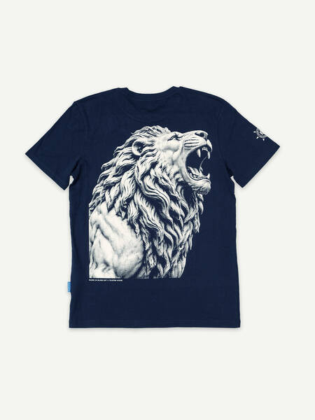 Product Photo: Telstar Wij zijn de Witte Leeuwen